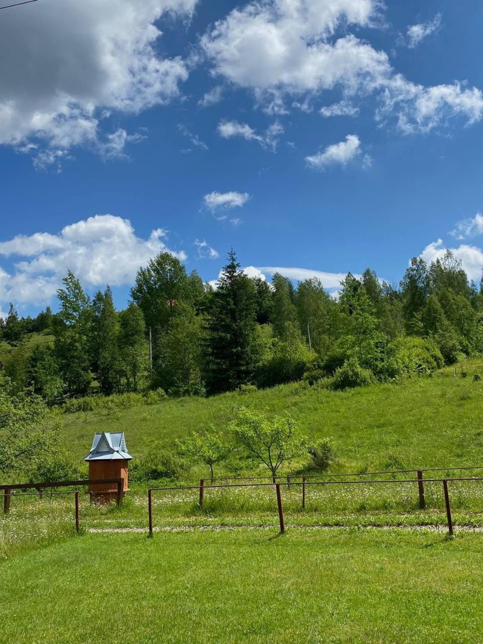 Ferienwohnung Карпатська Полонина Jaremtsche Exterior foto